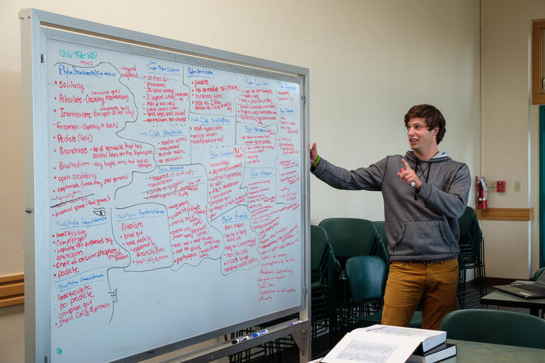 Student explains information using whiteboard covered in writing.