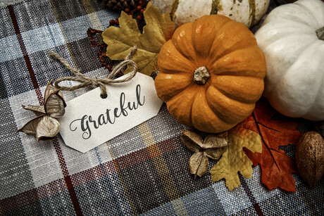 This is a close up photo of a group of small white and orange pumpkins on a plaid tablecloth background. There is space for copy. This is a nice high key image that would work well for autumn, Thanksgiving and a holiday season in the fall.