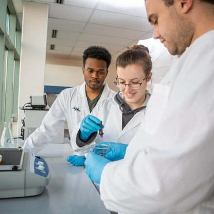 Students work in bioengineering lab
