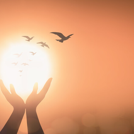 Silhouette prayer hand blessing God on blurred candle light with bird flying background