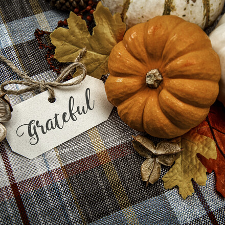 This is a close up photo of a group of small white and orange pumpkins on a plaid tablecloth background. There is space for copy. This is a nice high key image that would work well for autumn, Thanksgiving and a holiday season in the fall.